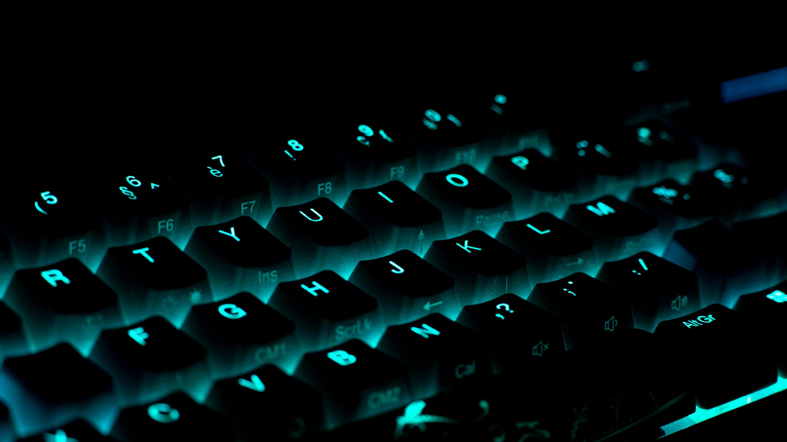 pexels-semac-14011035