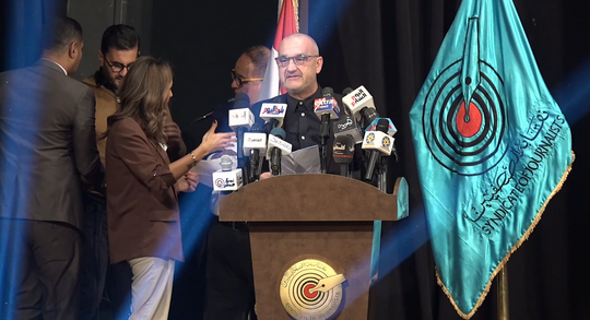 Egypt journalists